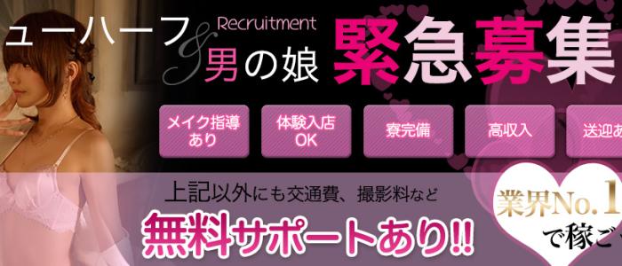 ニューハーフ・男の娘セラピスト募集